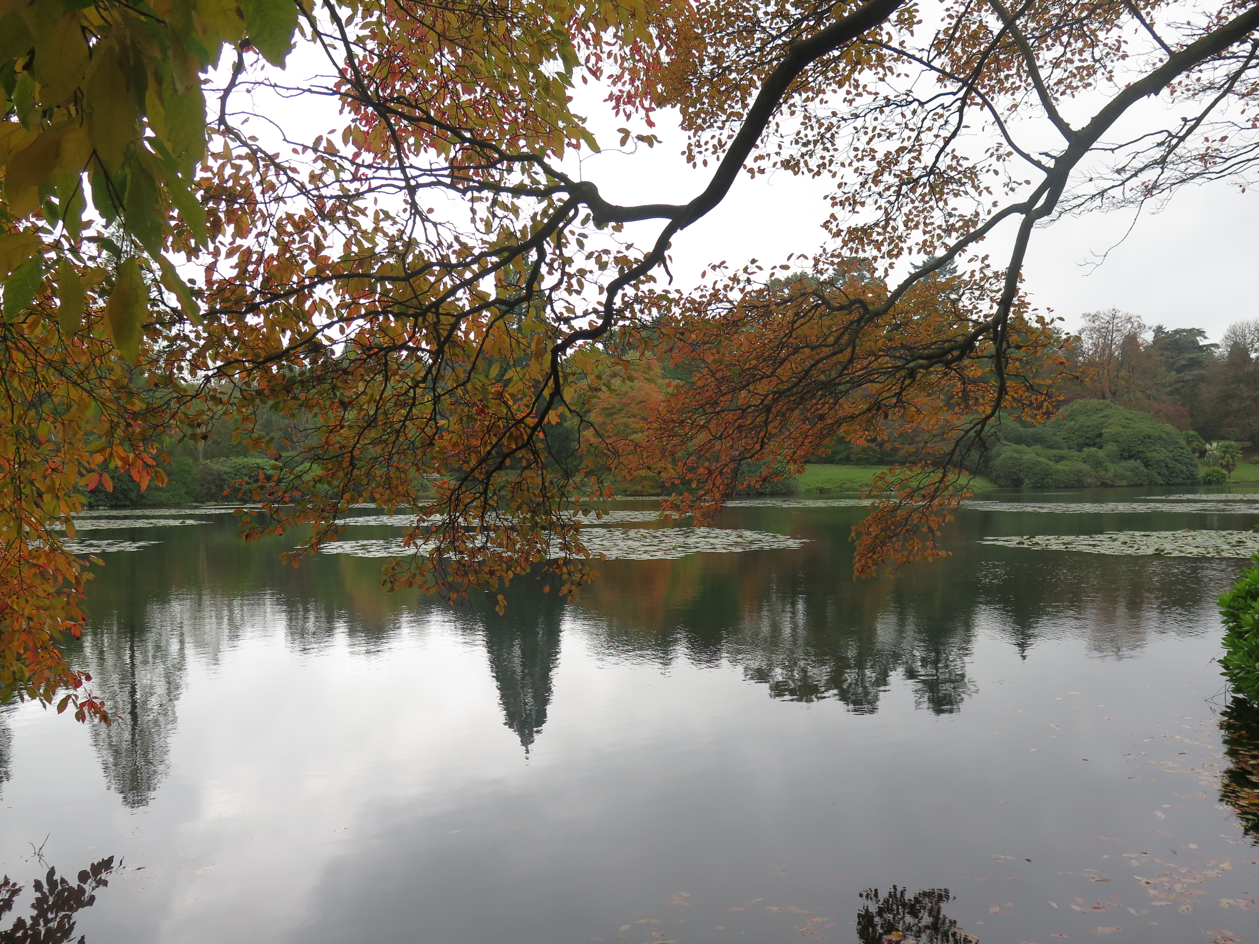 b.06.Dawn.21B9BA6E-114B-41E8-862C-6B031D3B0F49