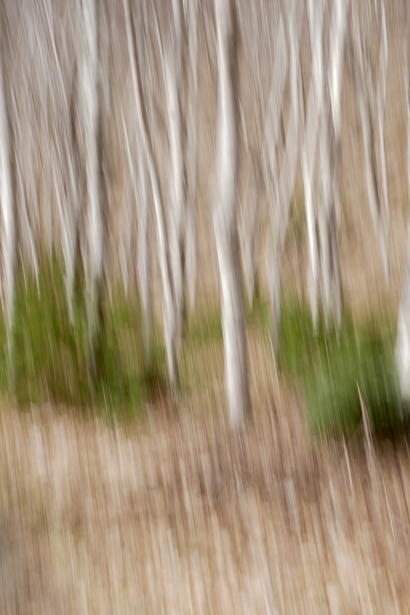 a.01.Jim.HFF Consequences 46