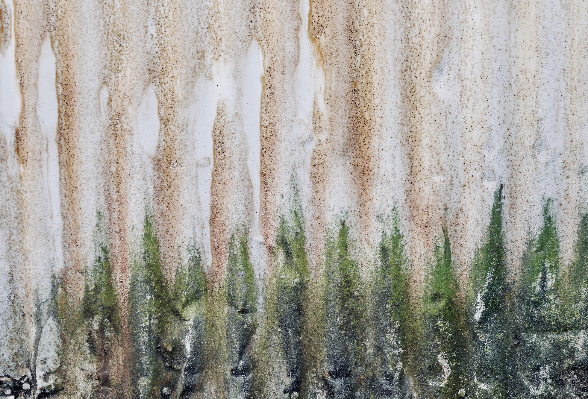 a.02.Rashida.image (4)