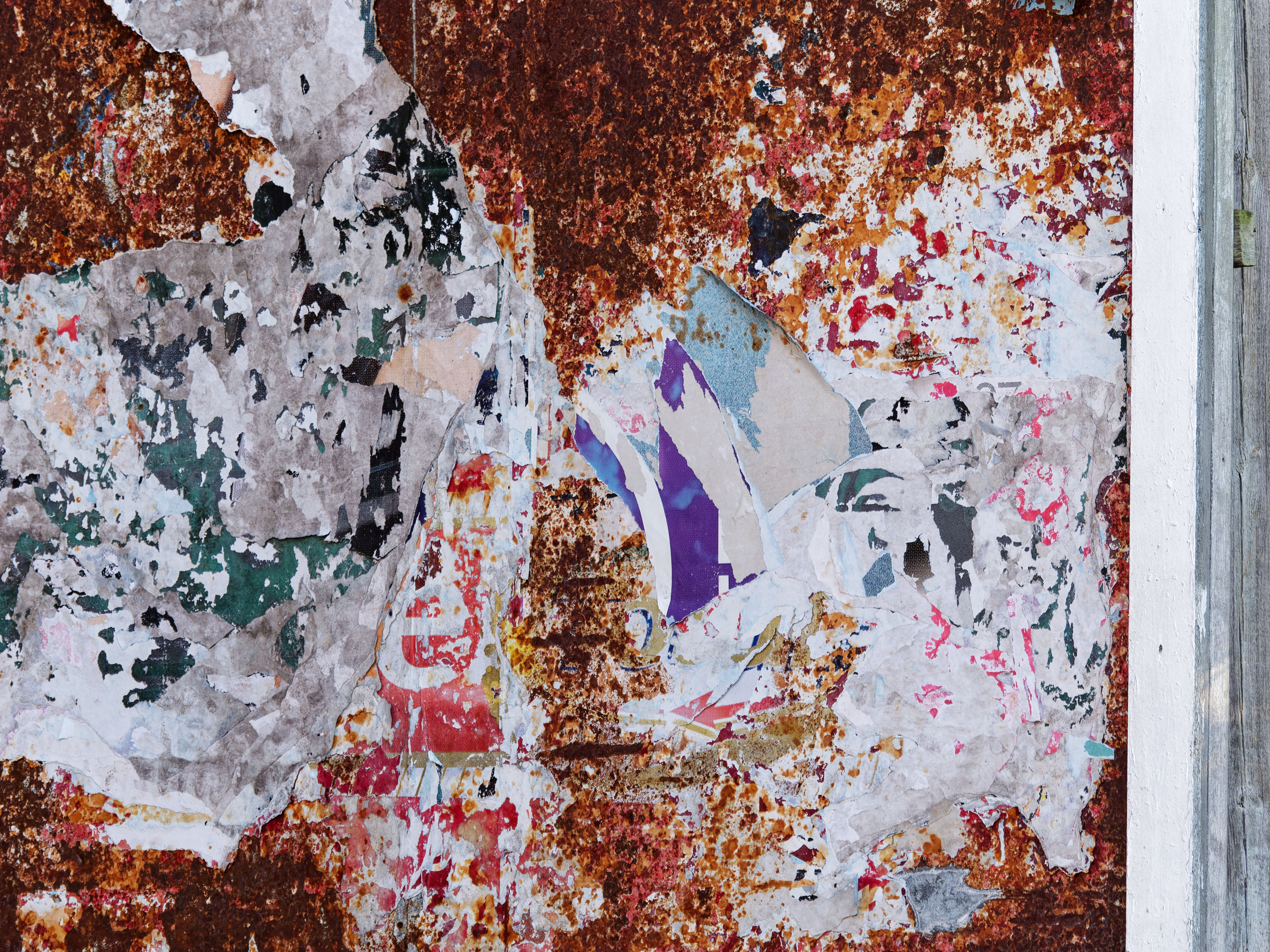 a.03.David.P1010774_DxO