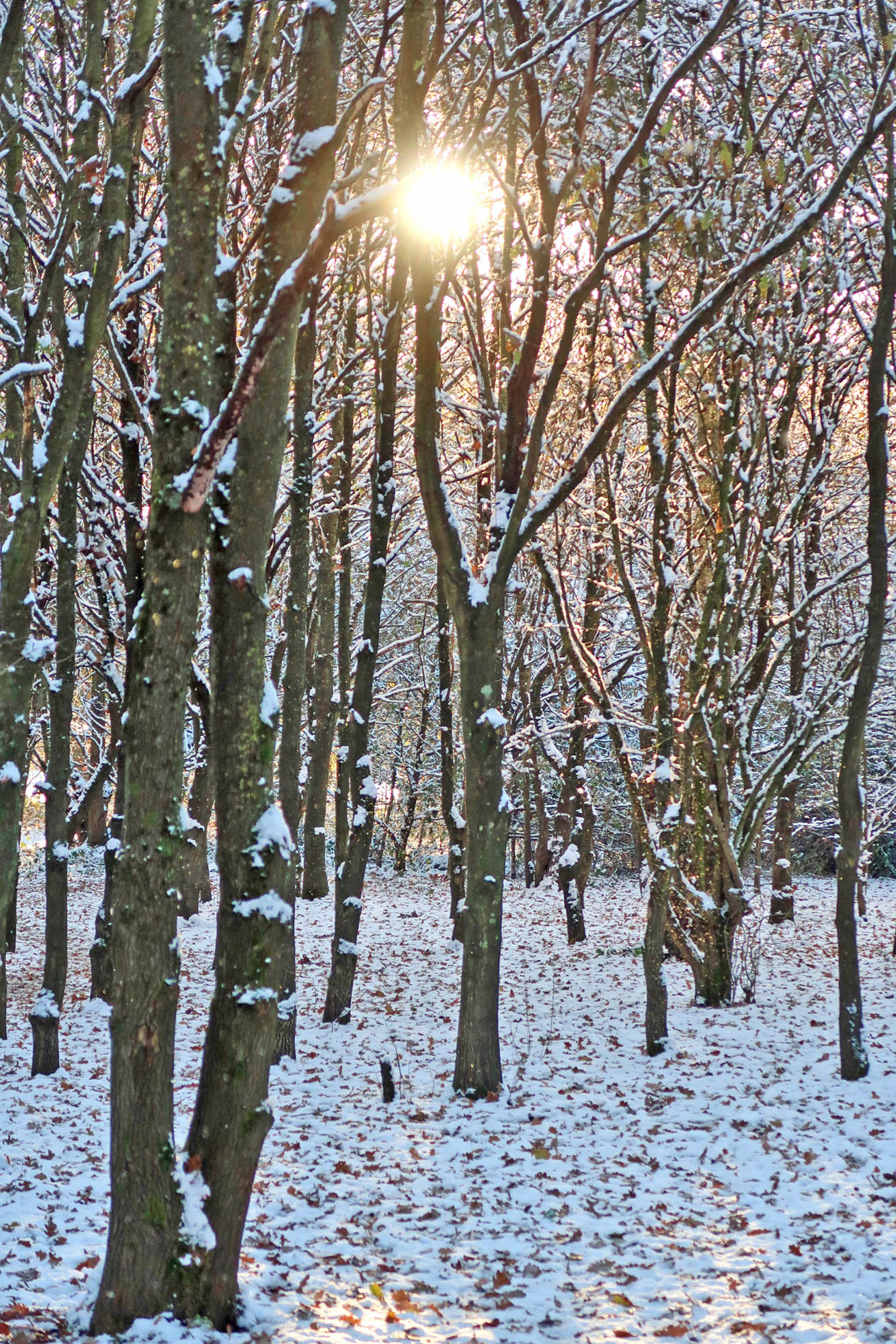 b.02.Austin Consequences 2023-4