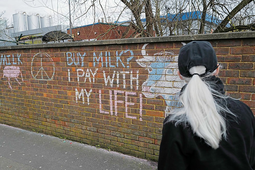 a.04.Mark.Protest at dairy