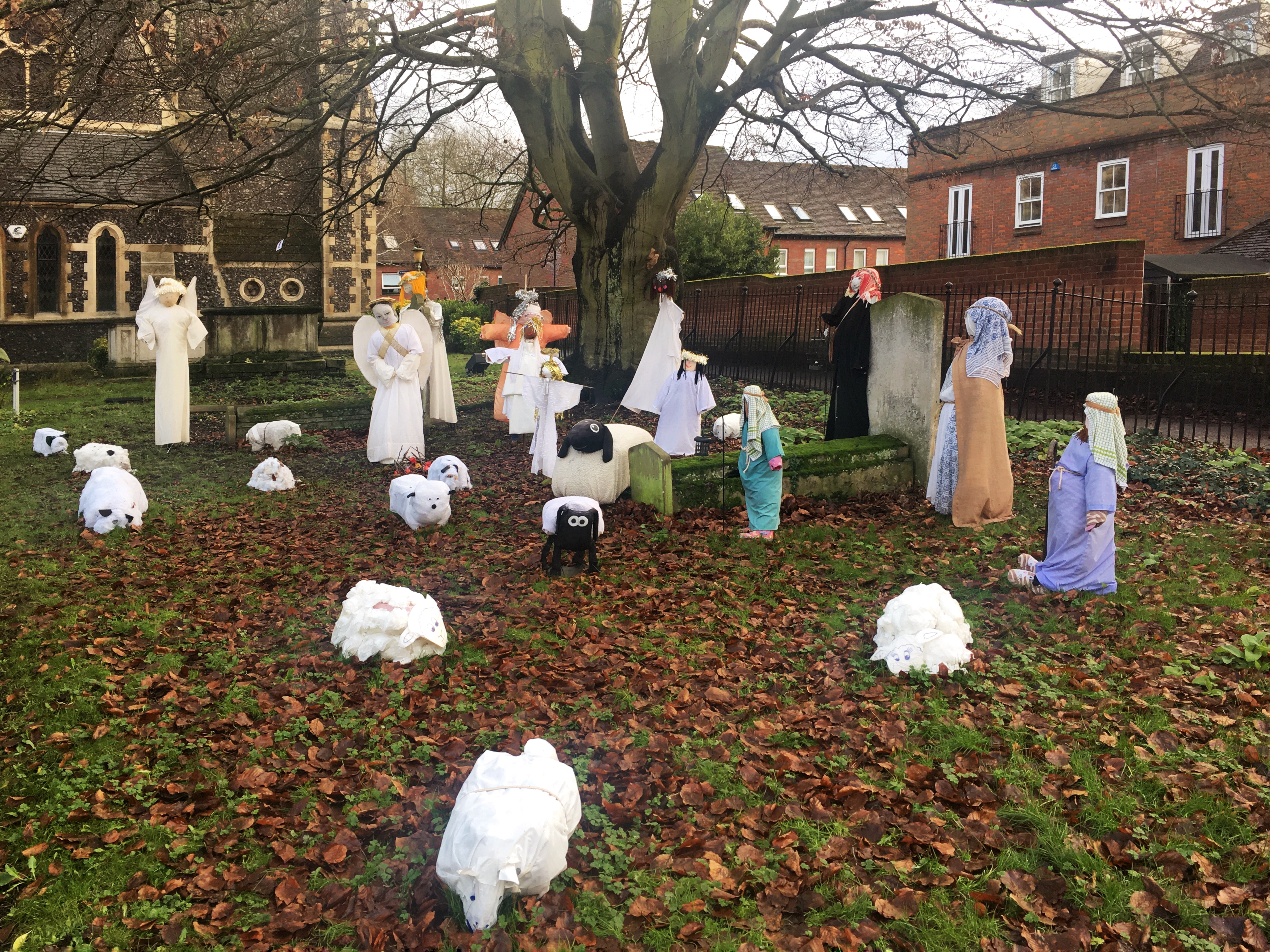 b.05.Hady.685679D6-4CE6-41BB-8F47-79B7E4D947E6