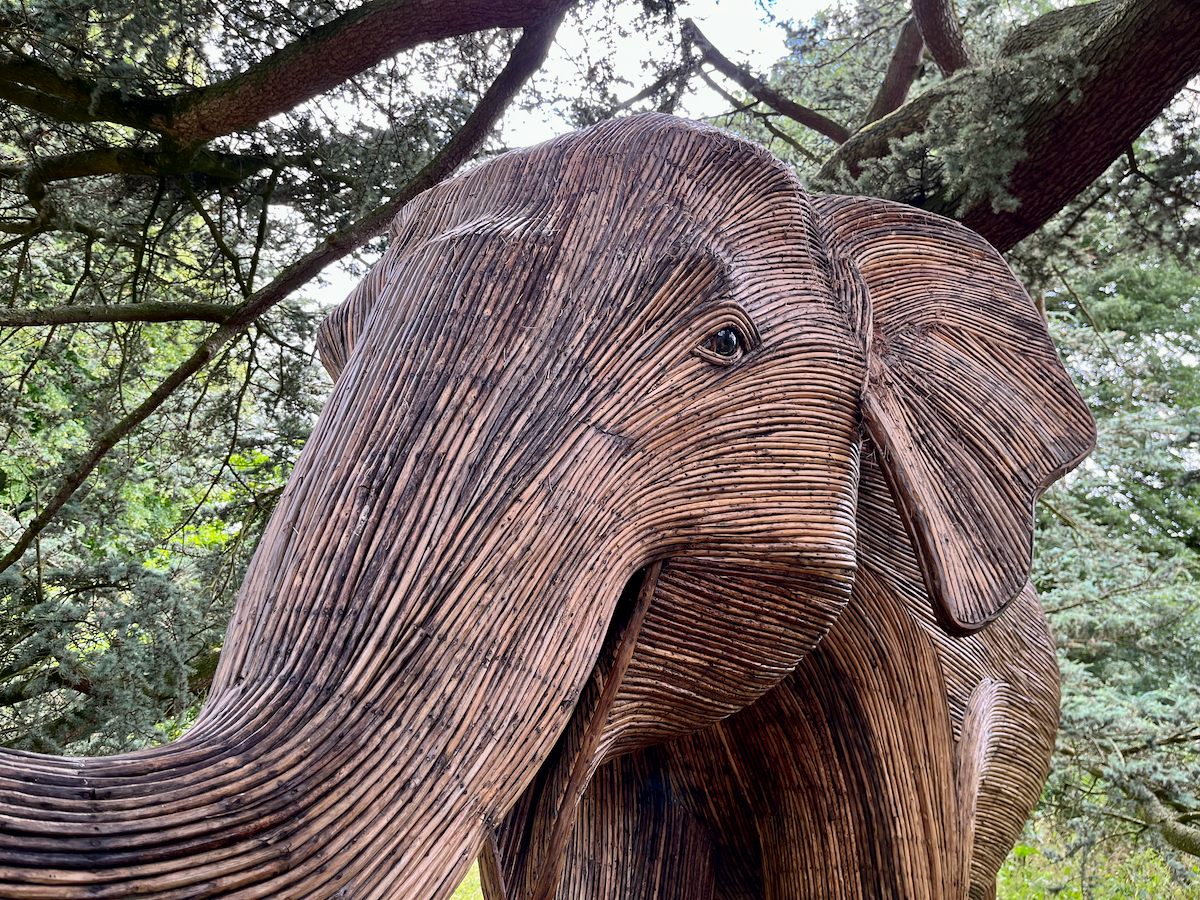 a.01.Mermie.IMG_3510