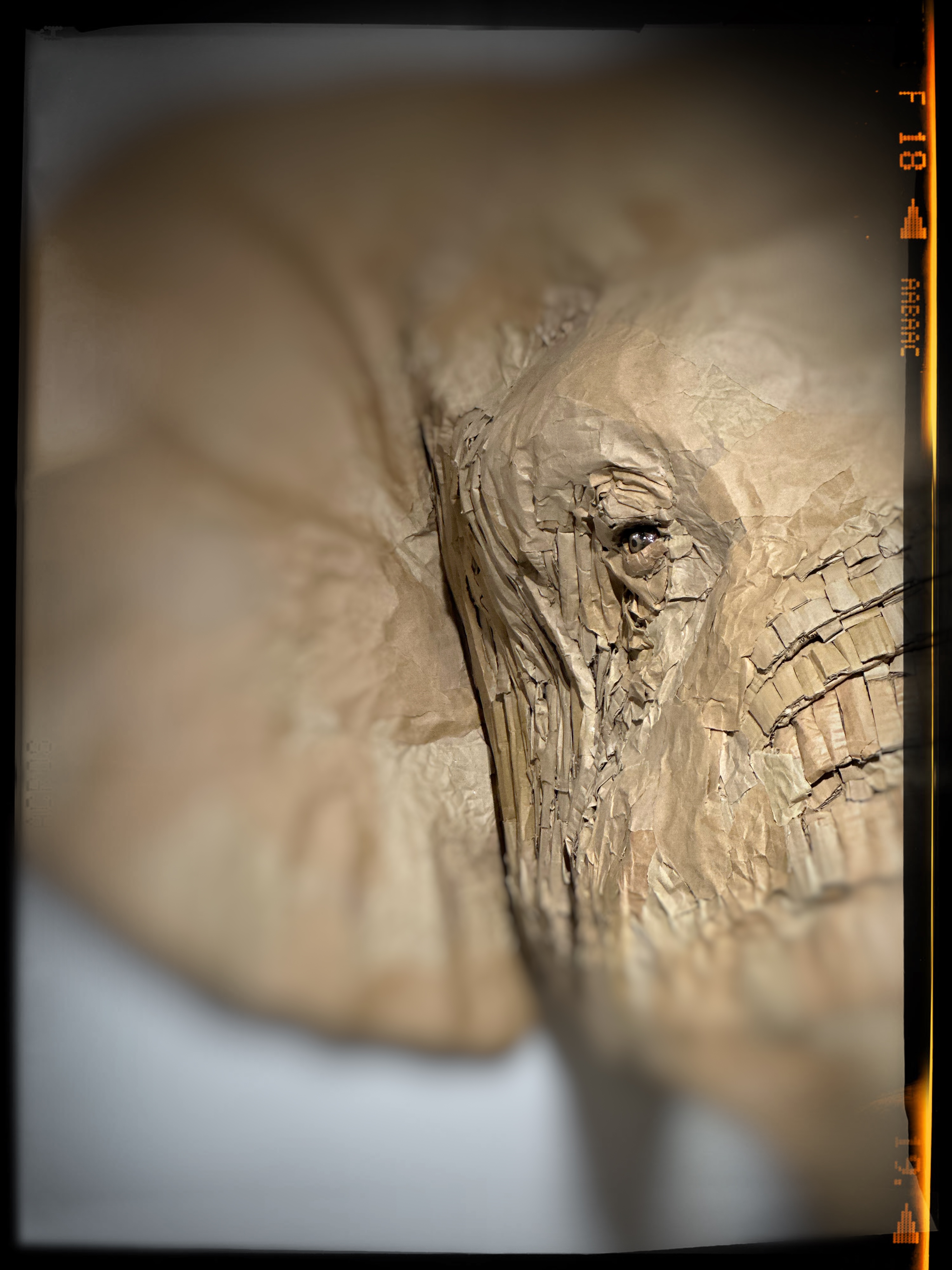 b.02.Bunshri.IMG_1707