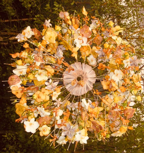 a.02.Dawn.IMG_3429 2