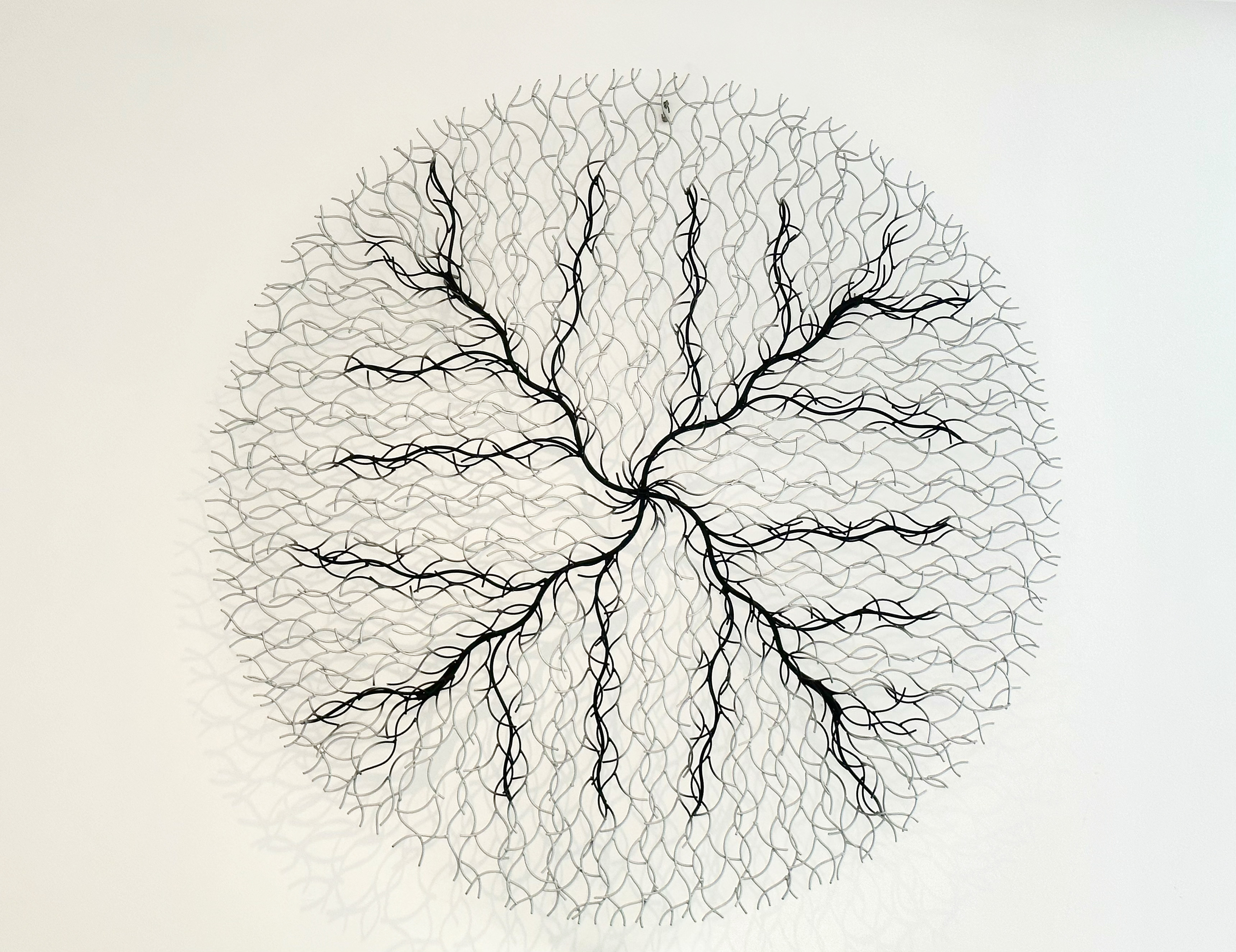 a.03.Avril.8883DB6F-6D04-441C-9C5D-B9C53E6DA6C4