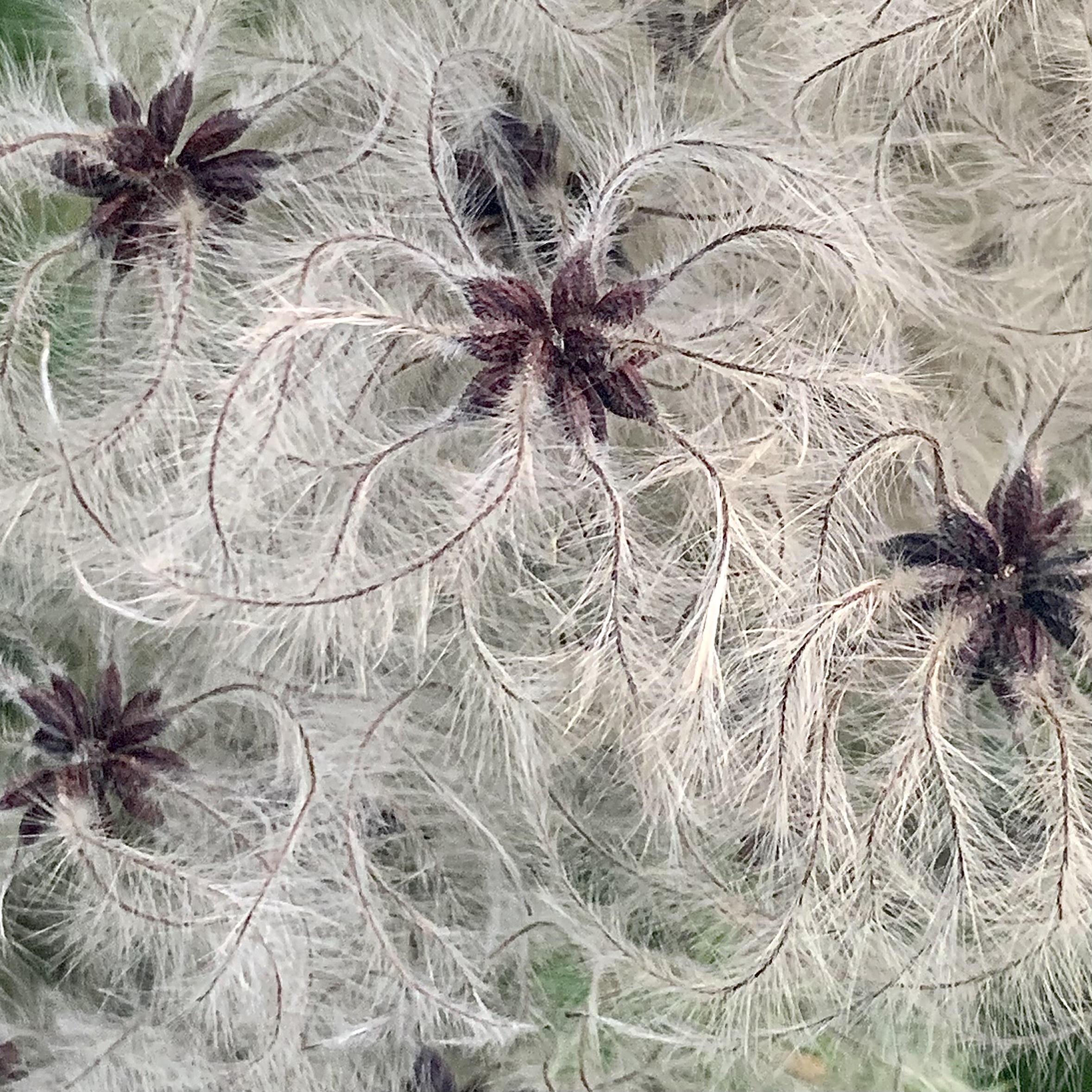 a.05.Rashida.IMG_4988