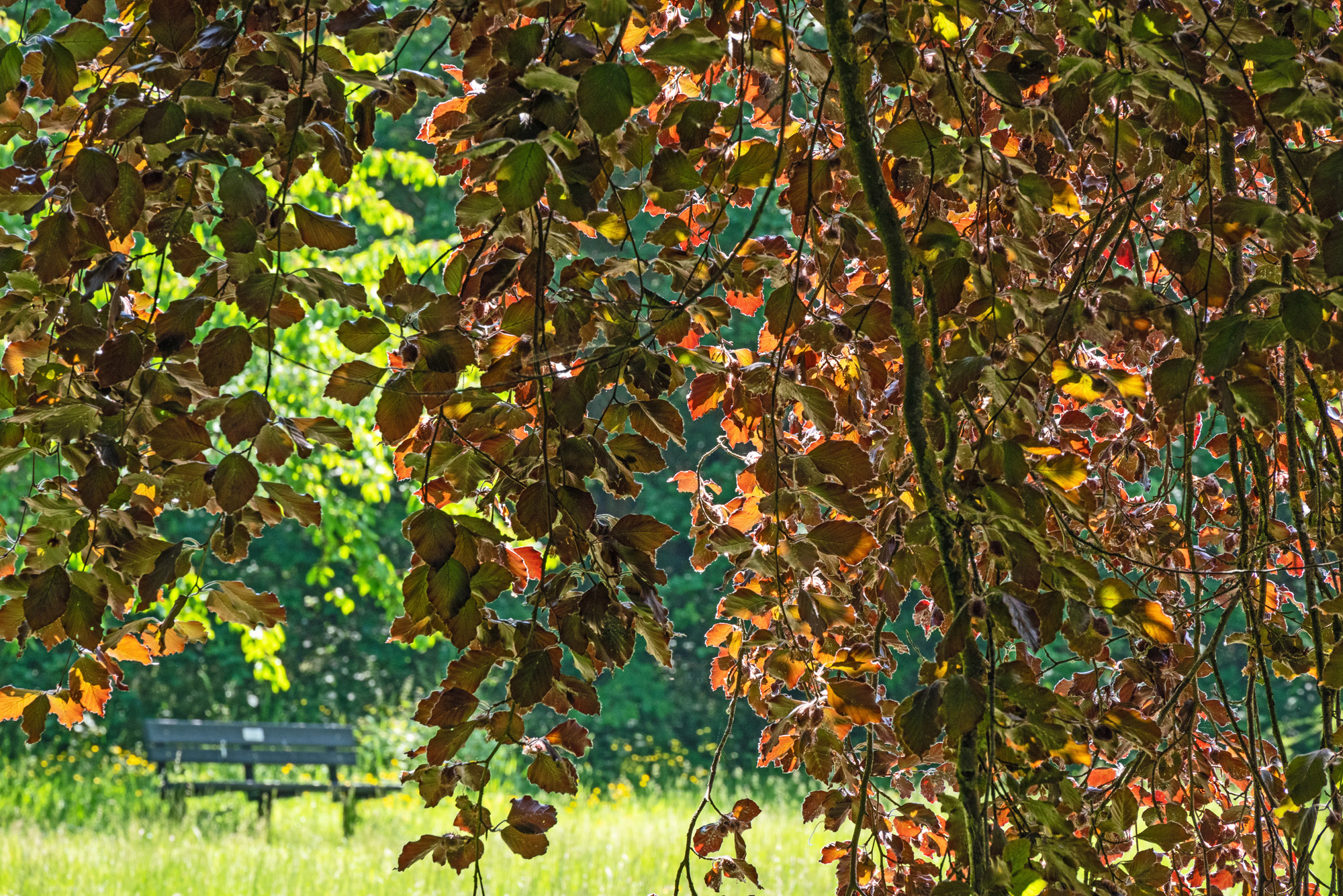 a.06.Austin Consequences 2023-10