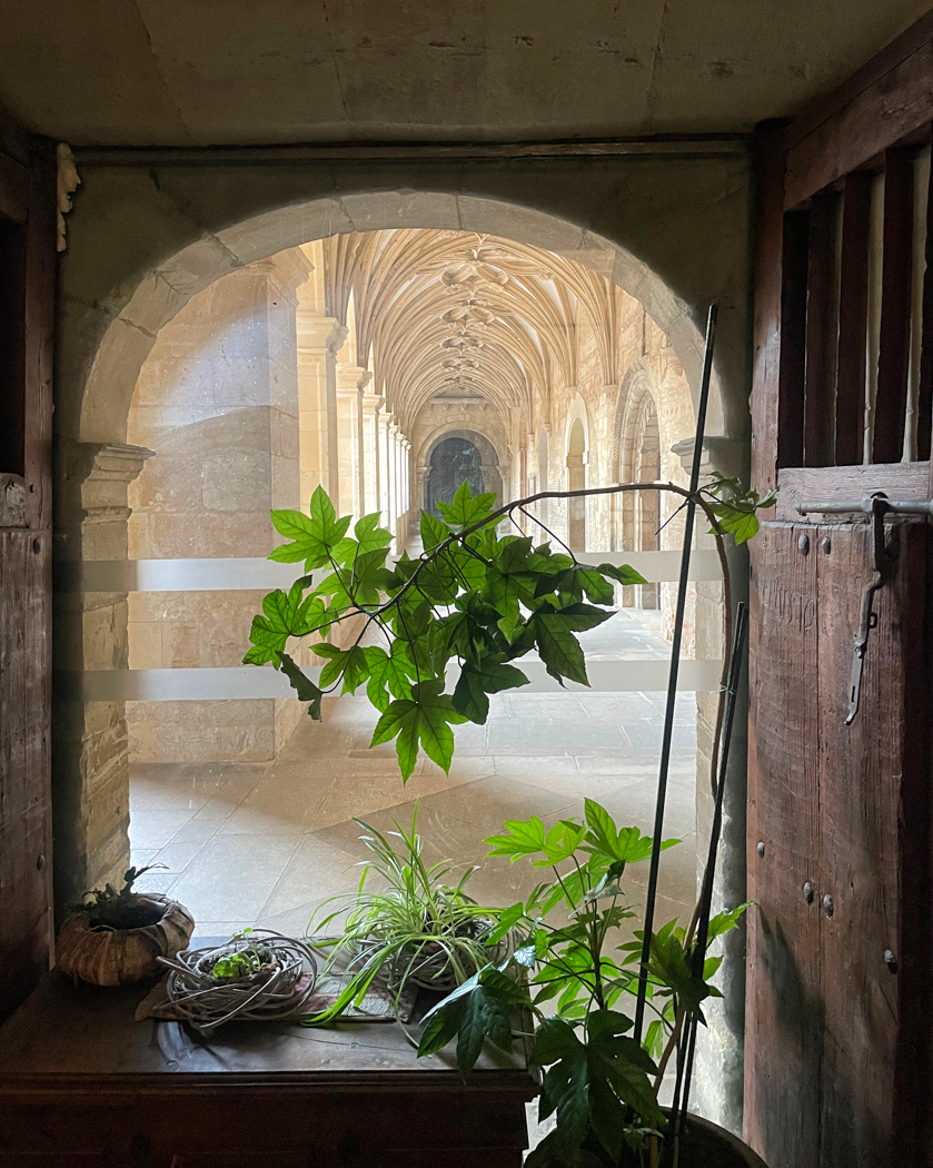 a.07.Kate October '23