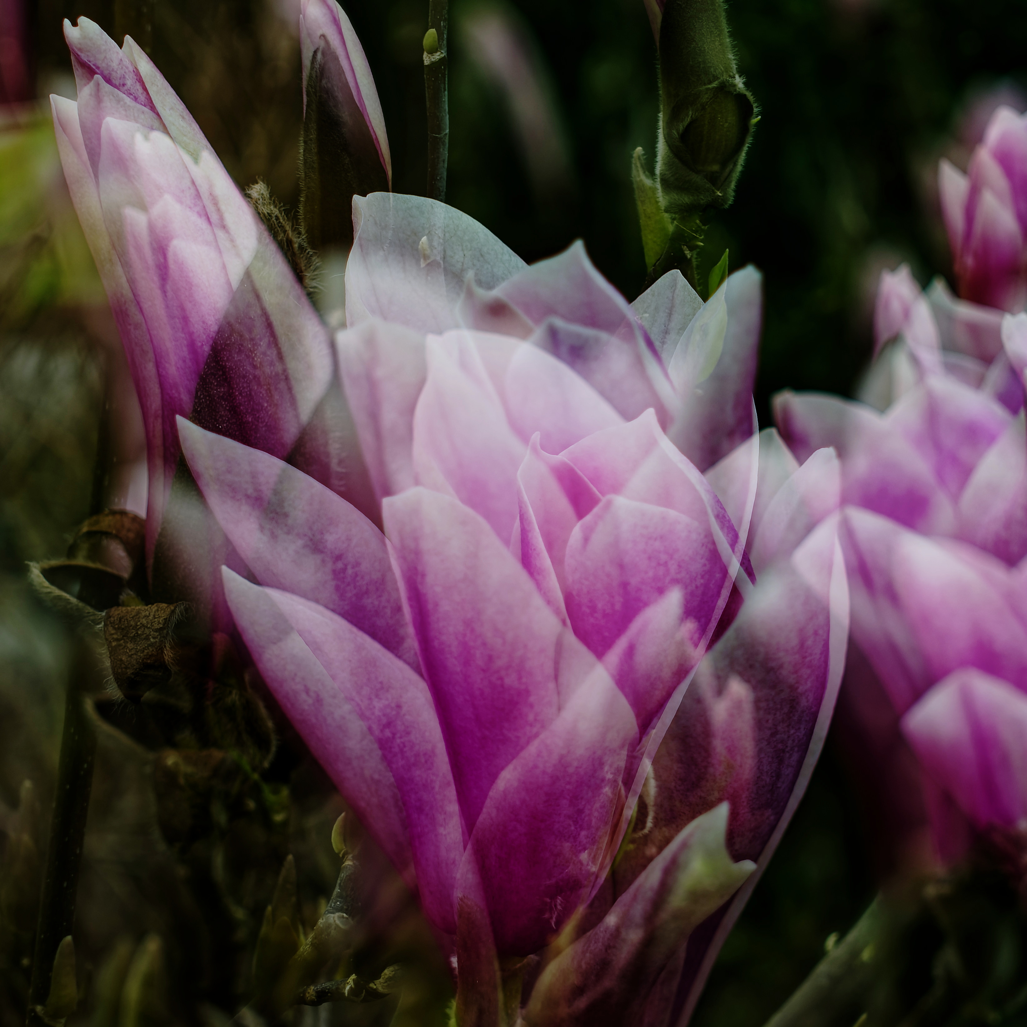 b.03.David.Oct consequences DKA