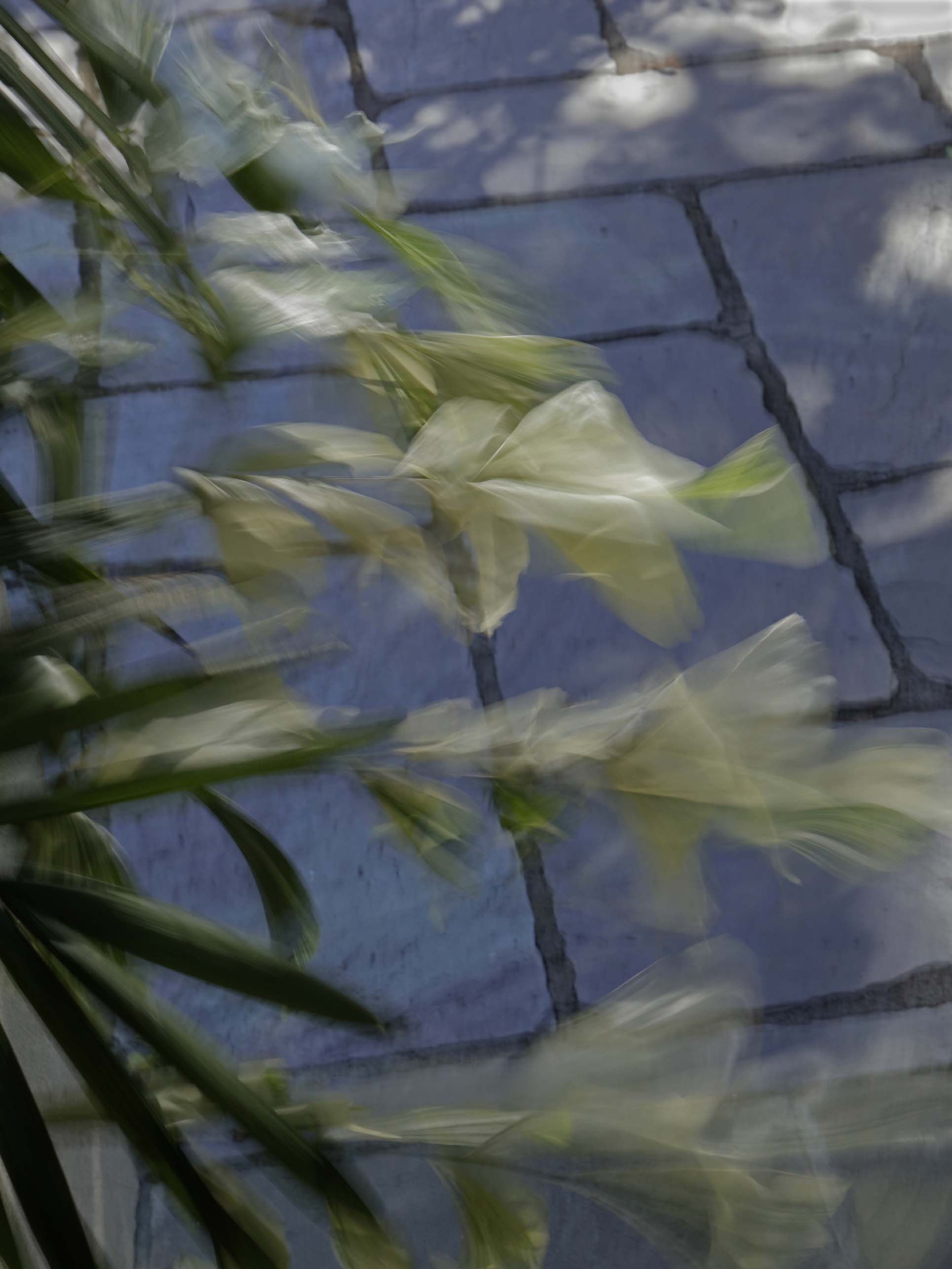 a.05.Colin._U7A4086rs