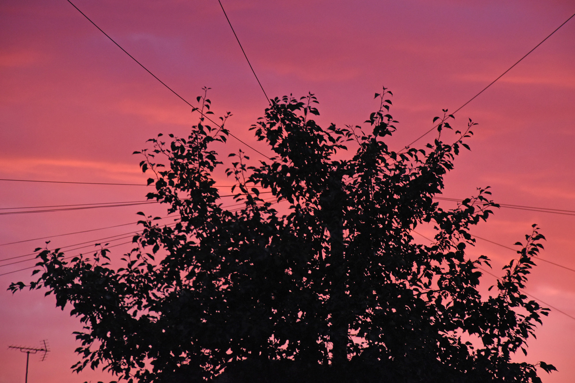 b.08.Austin Consequences 2023-12