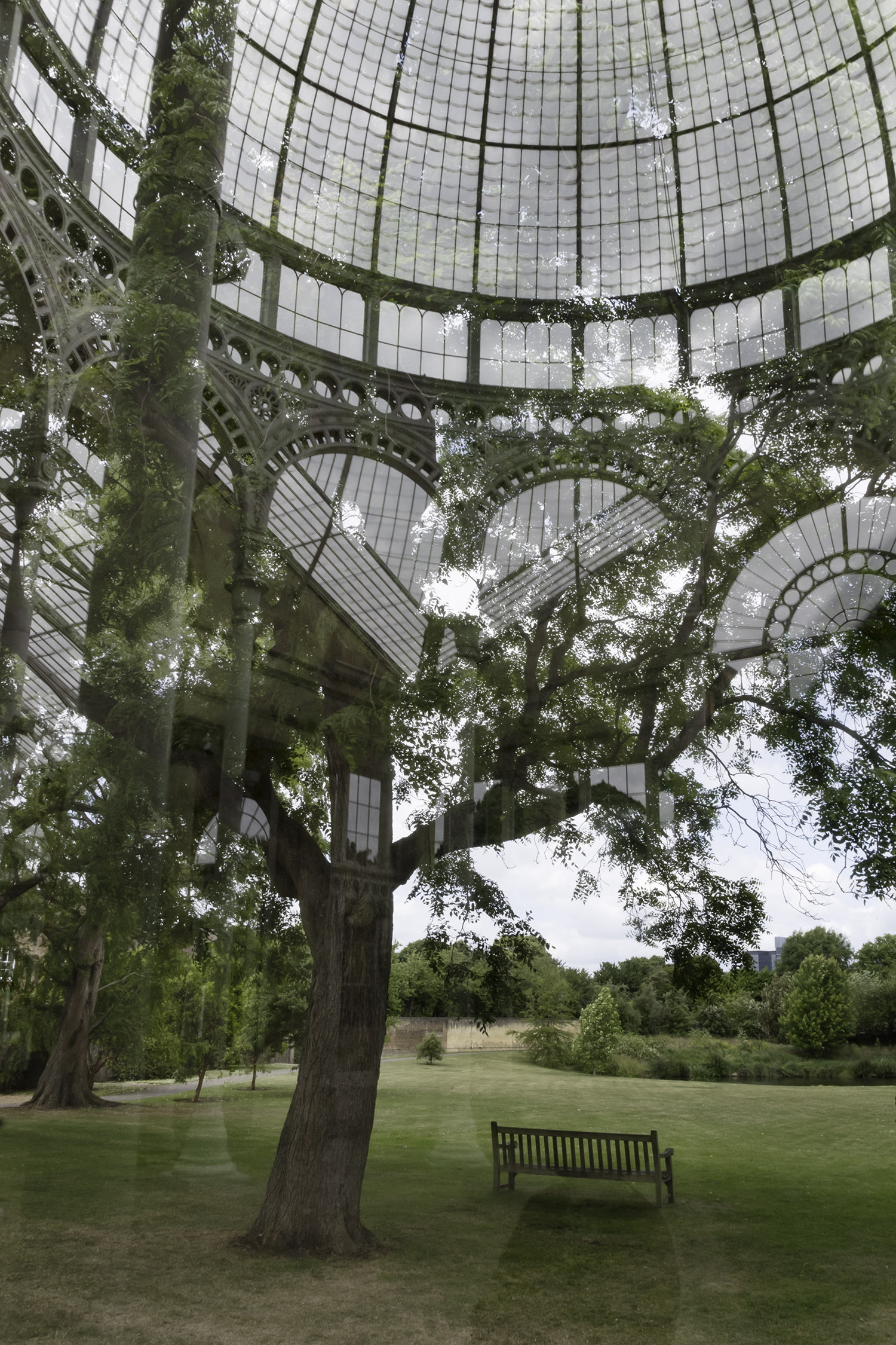 b.02.Duncan._L198251-Edit copy