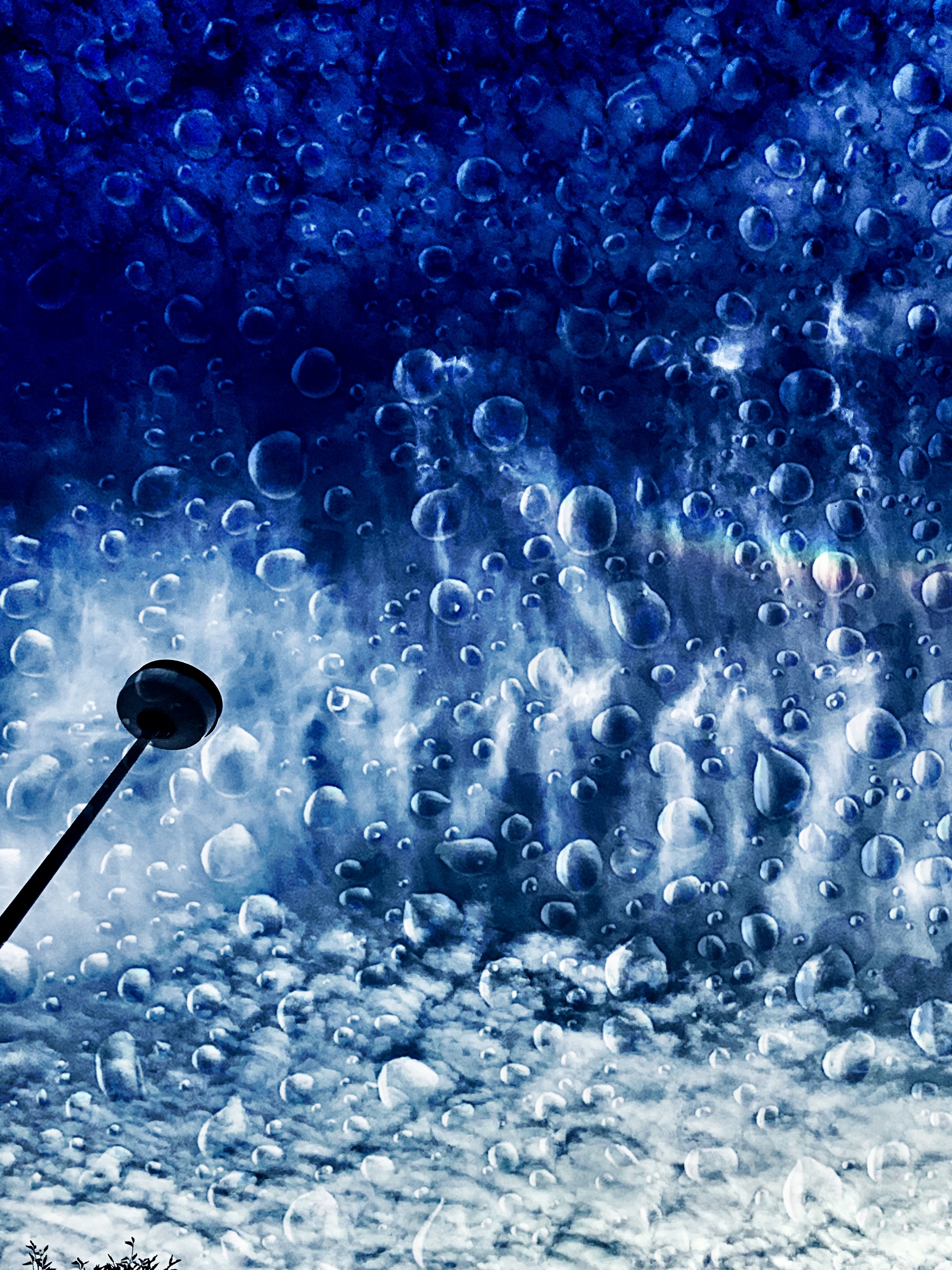 b.06.Rashida.IMG_3971