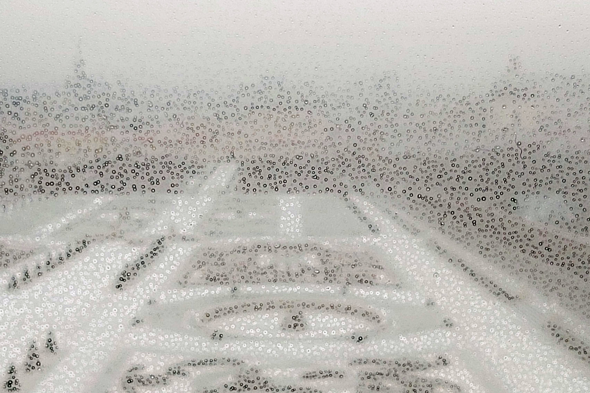 b.07.Austin Consequences 2024-2