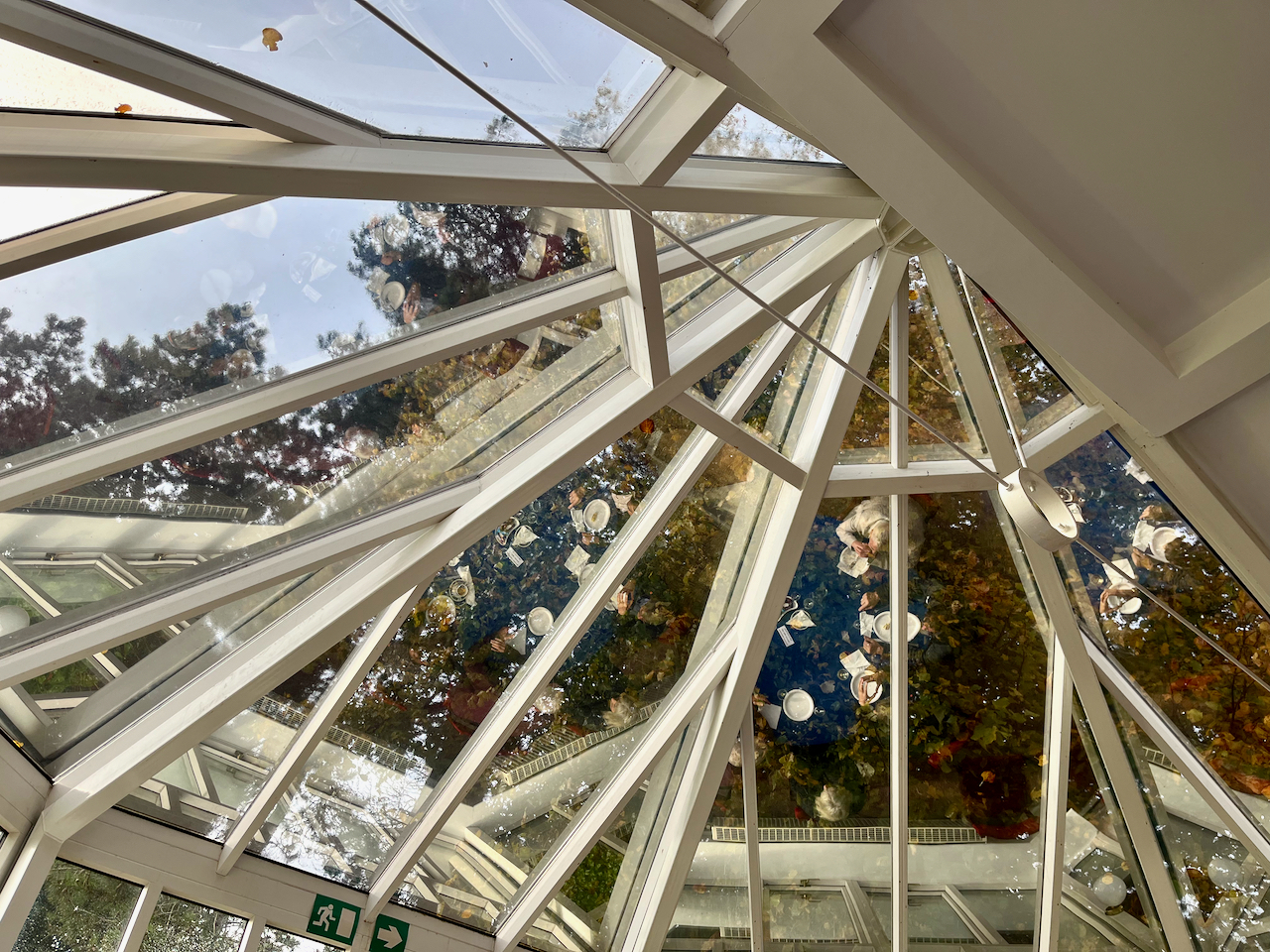 a.01.Mermie.IMG_5094