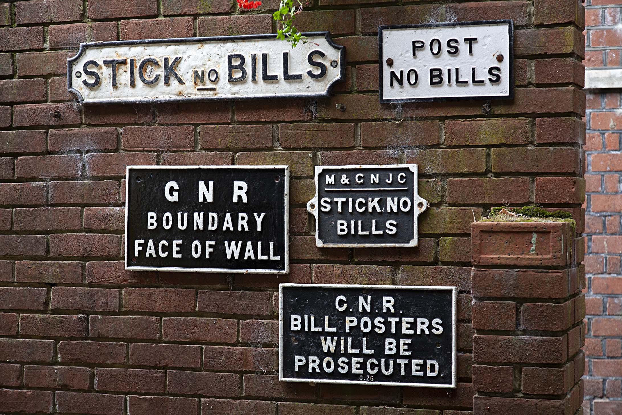 b.03.04.Colin.IMG_1541c