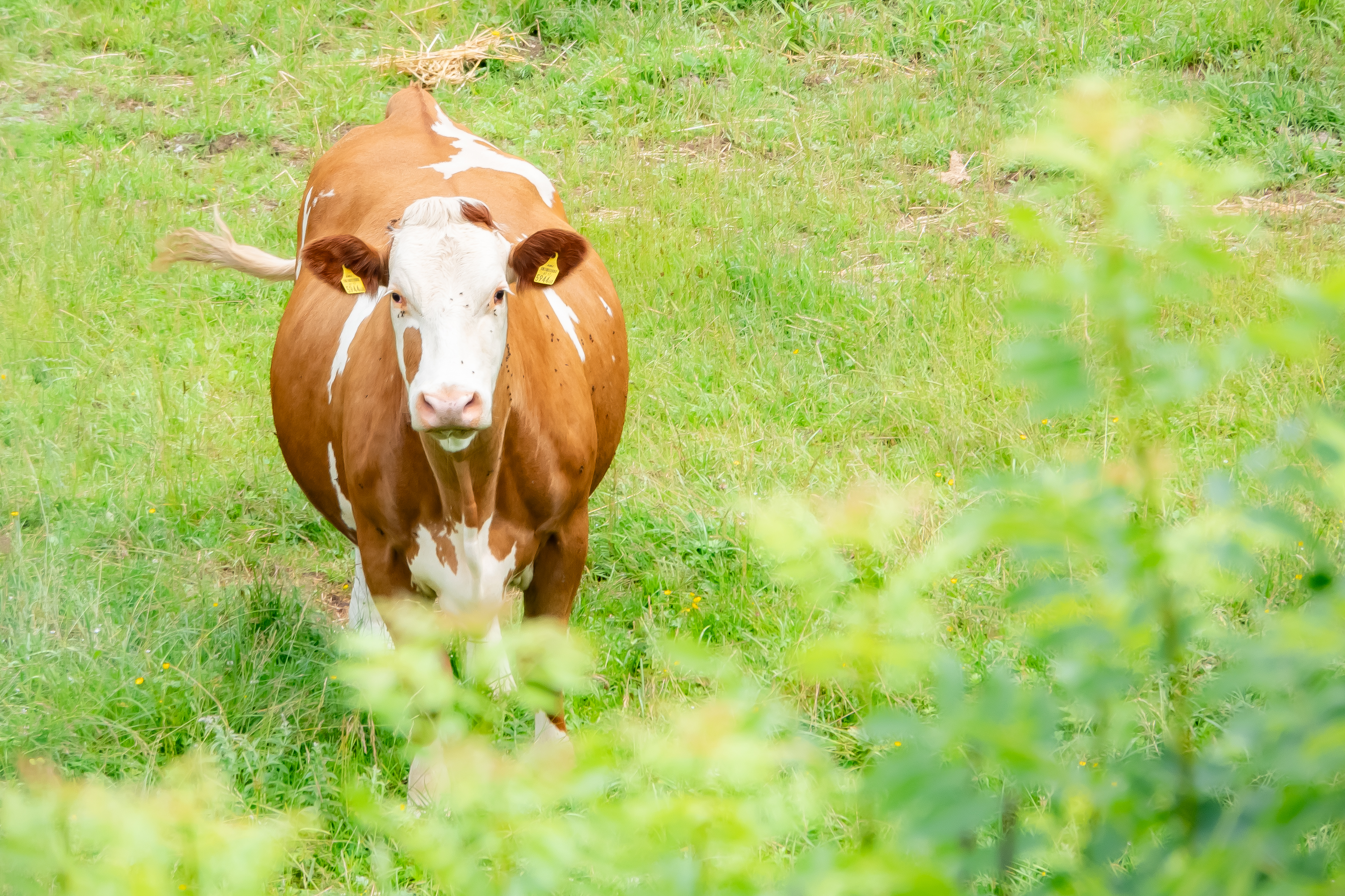 b.02.Brian.20240602 HFF Consequences by Brian Martin