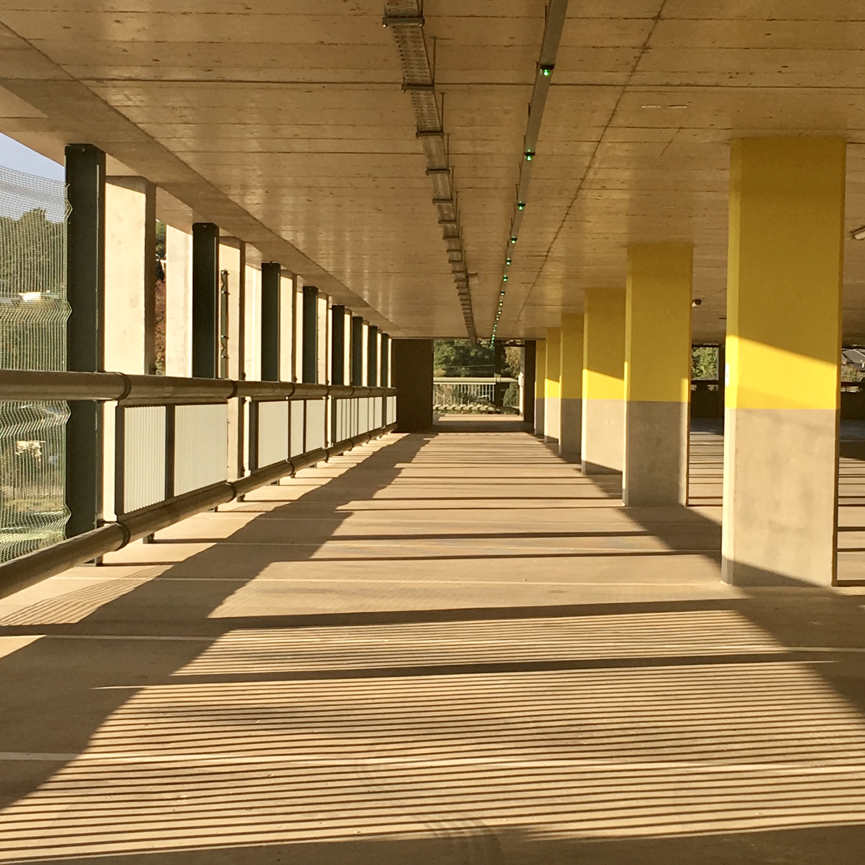 b.03.Rashida.IMG_2081