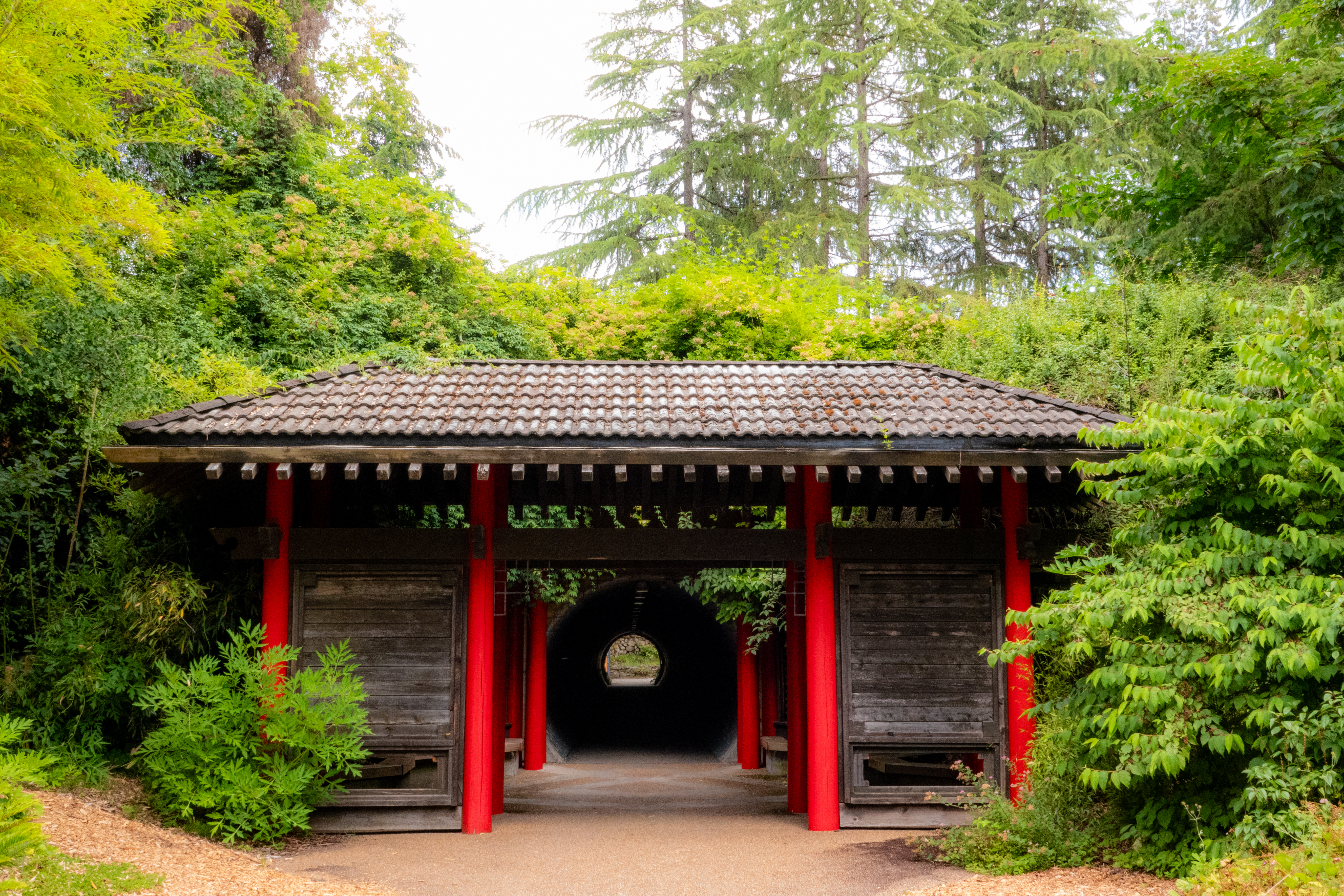 b.05.Brian.20240801 HFF Consequences by Brian Martin