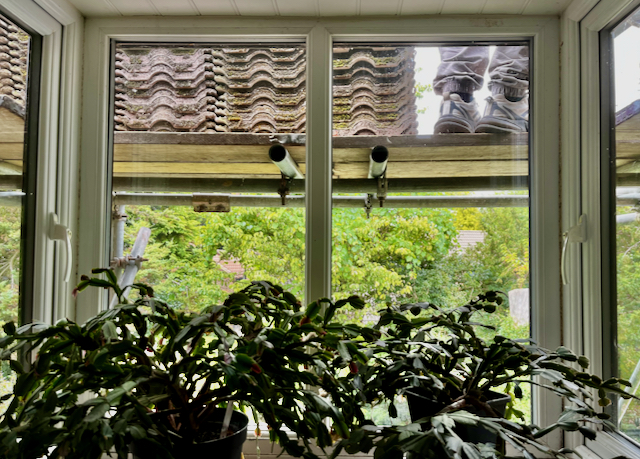 b.06.Mermie.IMG_7592