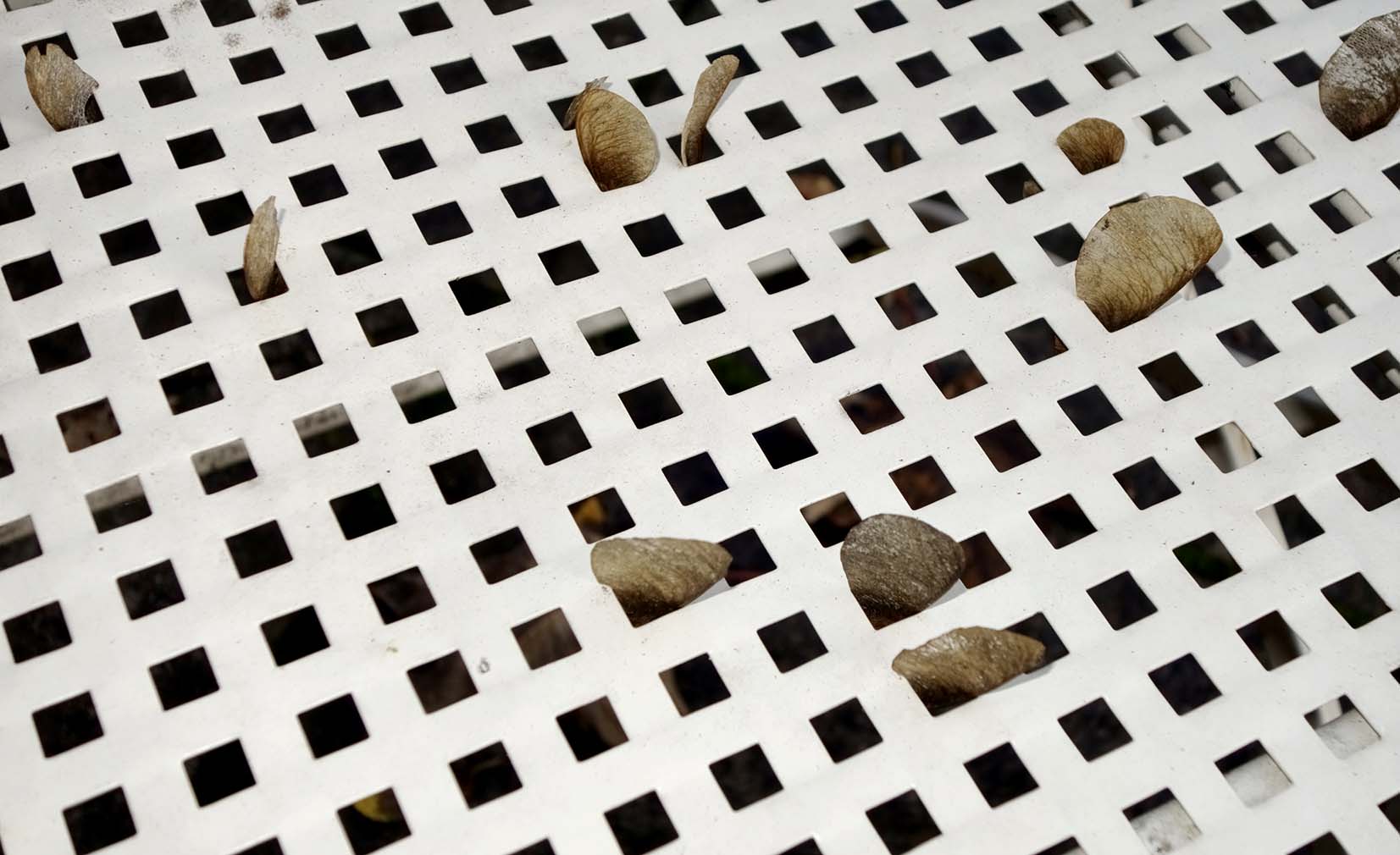 b.04.Colin._DSC3372crs