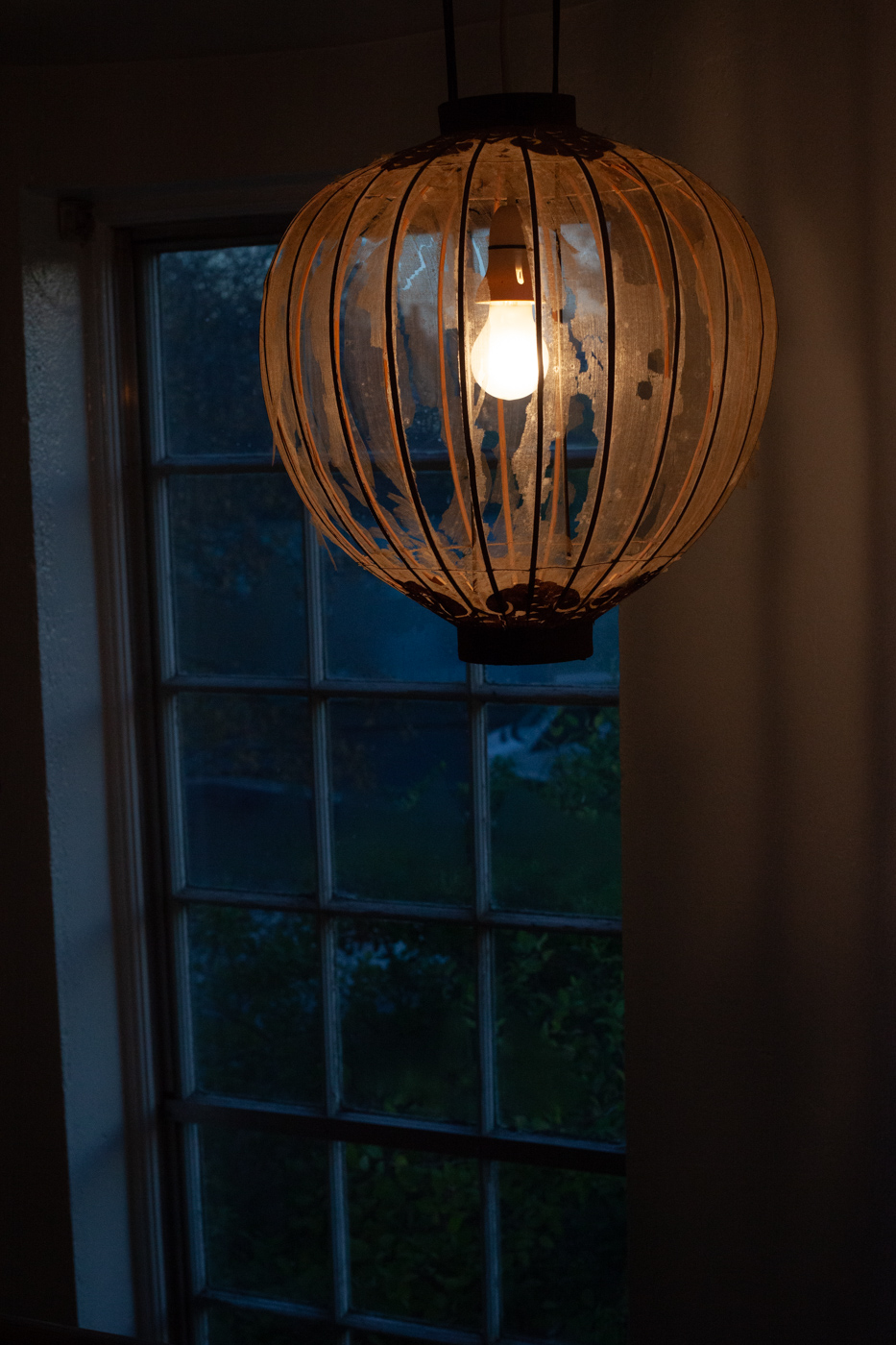 b.04.Kate.2024 Oct Kate