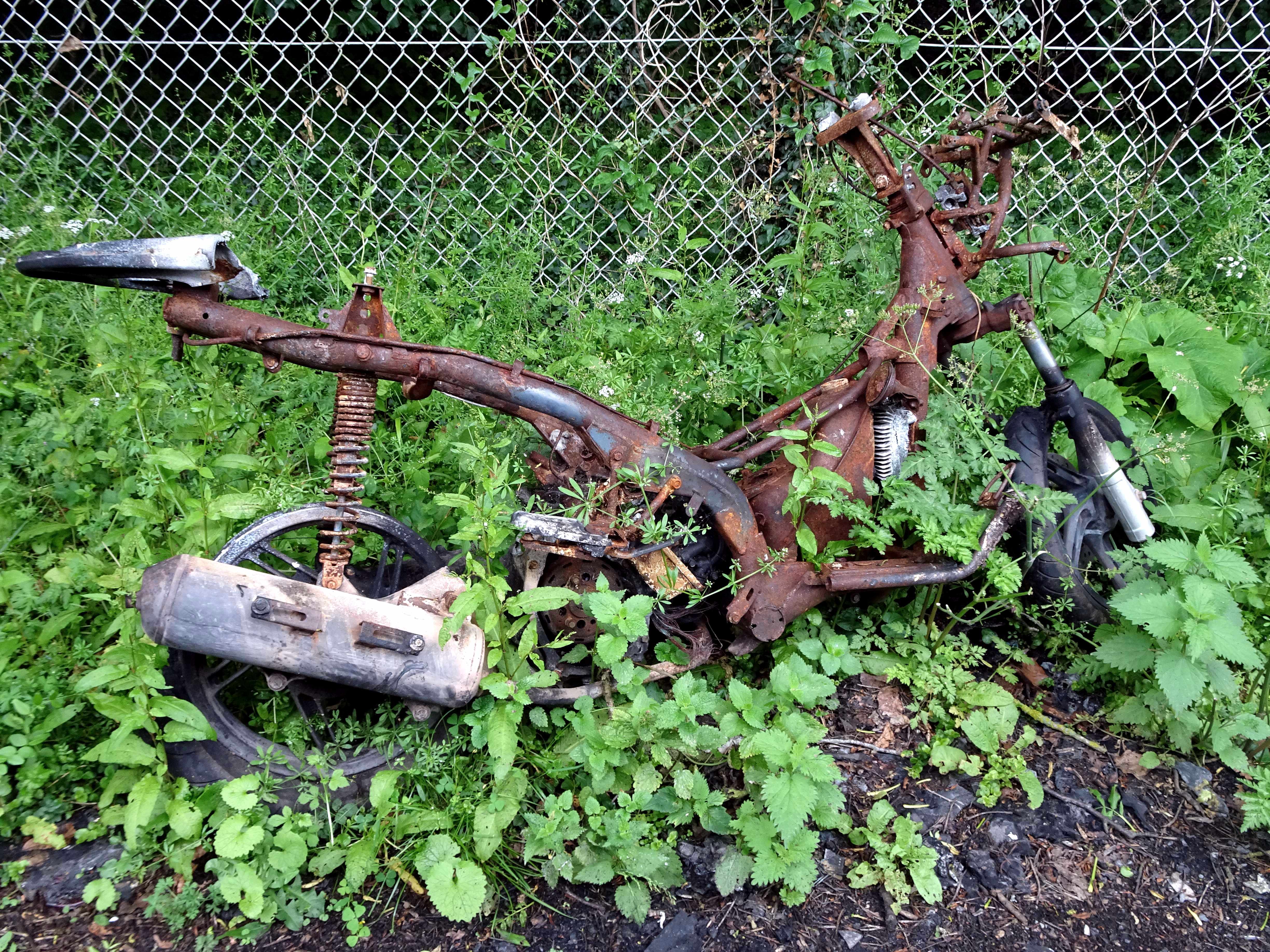 a.03.David.DSC00780 - Copy